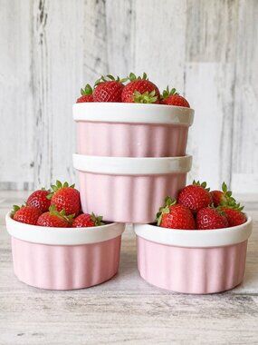 Natural Elements Stoneware 4 Pink Ramekin Bowls Oven/Microwave/Torch Safe
